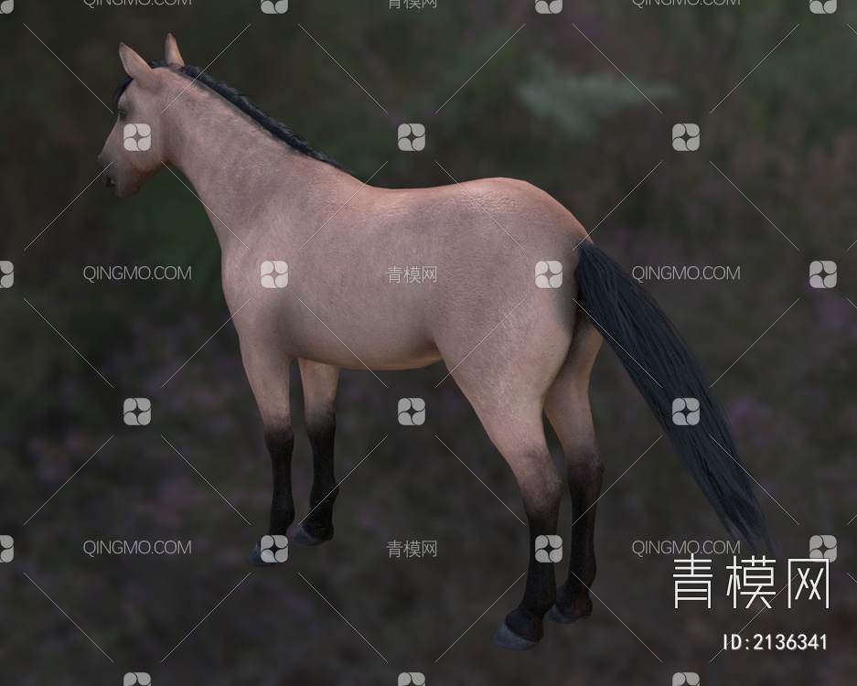 家马野马 马匹 动物3D模型下载【ID:2136341】