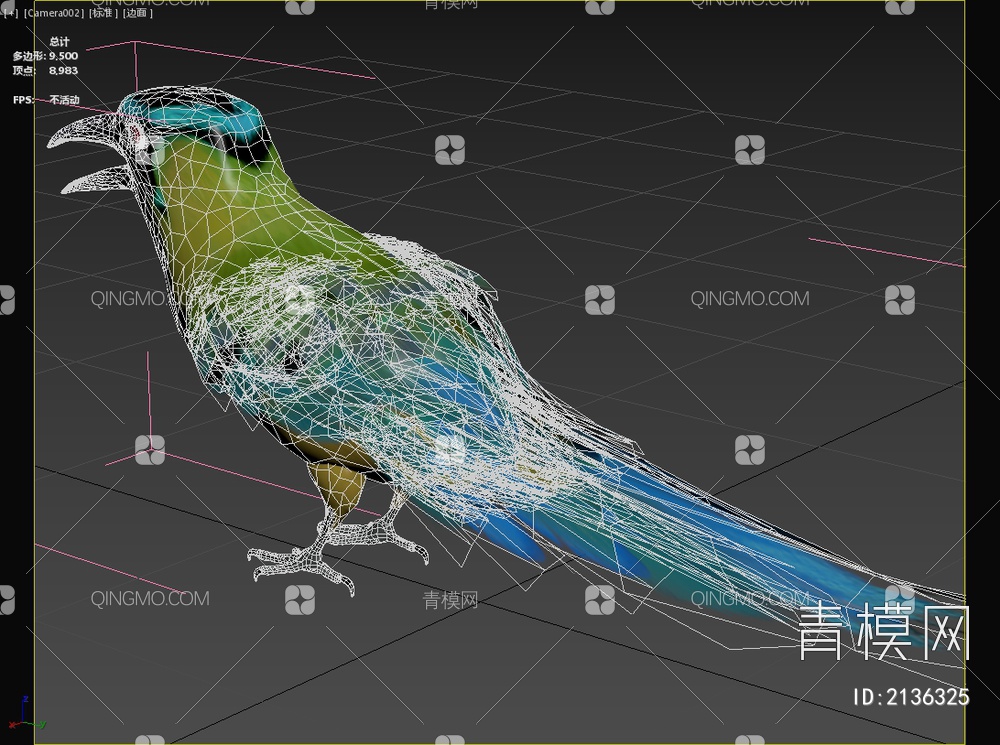 佛法僧目高原翠鴗科美洲热带鸟3D模型下载【ID:2136325】