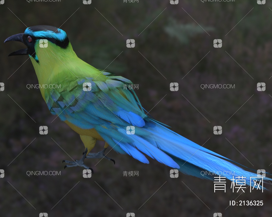 佛法僧目高原翠鴗科美洲热带鸟3D模型下载【ID:2136325】