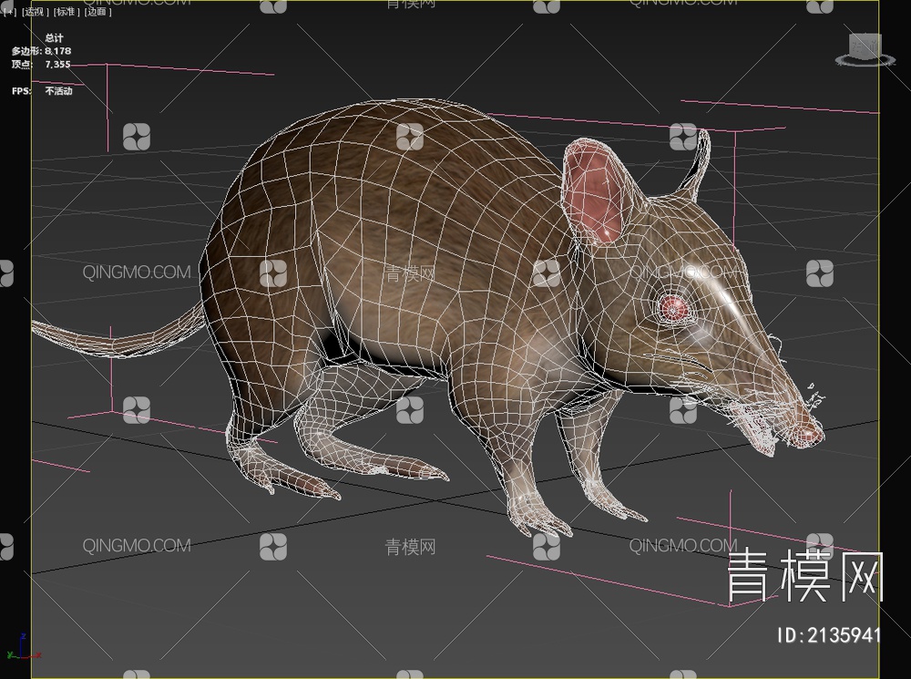 加氏袋狸塔岛袋狸东袋狸动物3D模型下载【ID:2135941】