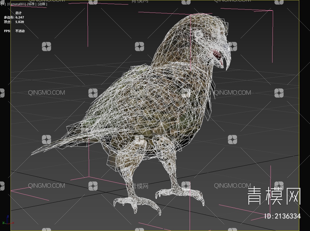 新西兰高山鹦鹉 食羊鹦鹉 鸟3D模型下载【ID:2136334】