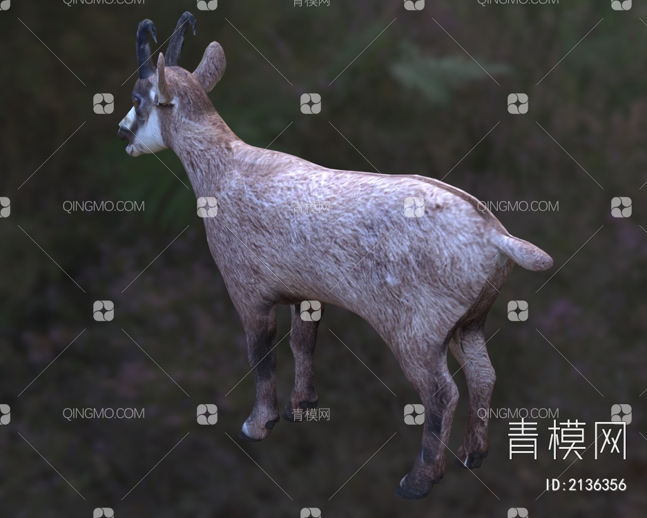 岩羚羊 臆羚牛科 臆羚属动物3D模型下载【ID:2136356】
