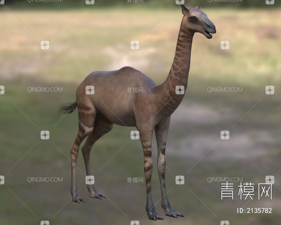 尖趾驼生物动物3D模型下载【ID:2135782】