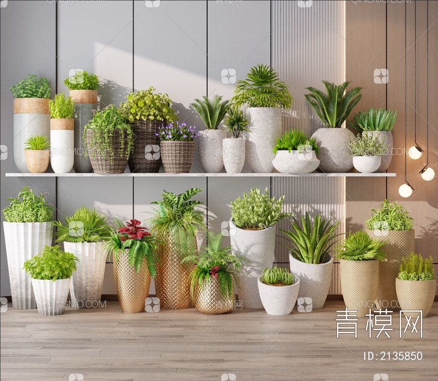 植物 盆栽3D模型下载【ID:2135850】