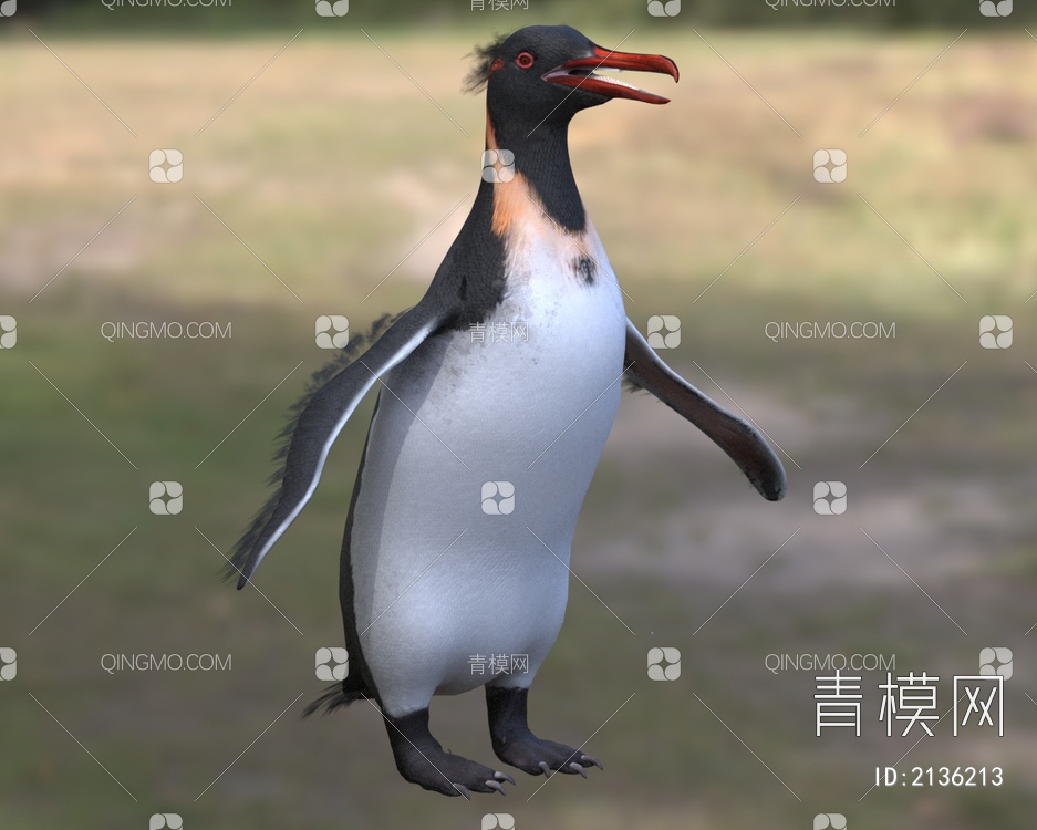 诺氏剑喙企鹅 巨型企鹅 海洋生物 动物3D模型下载【ID:2136213】