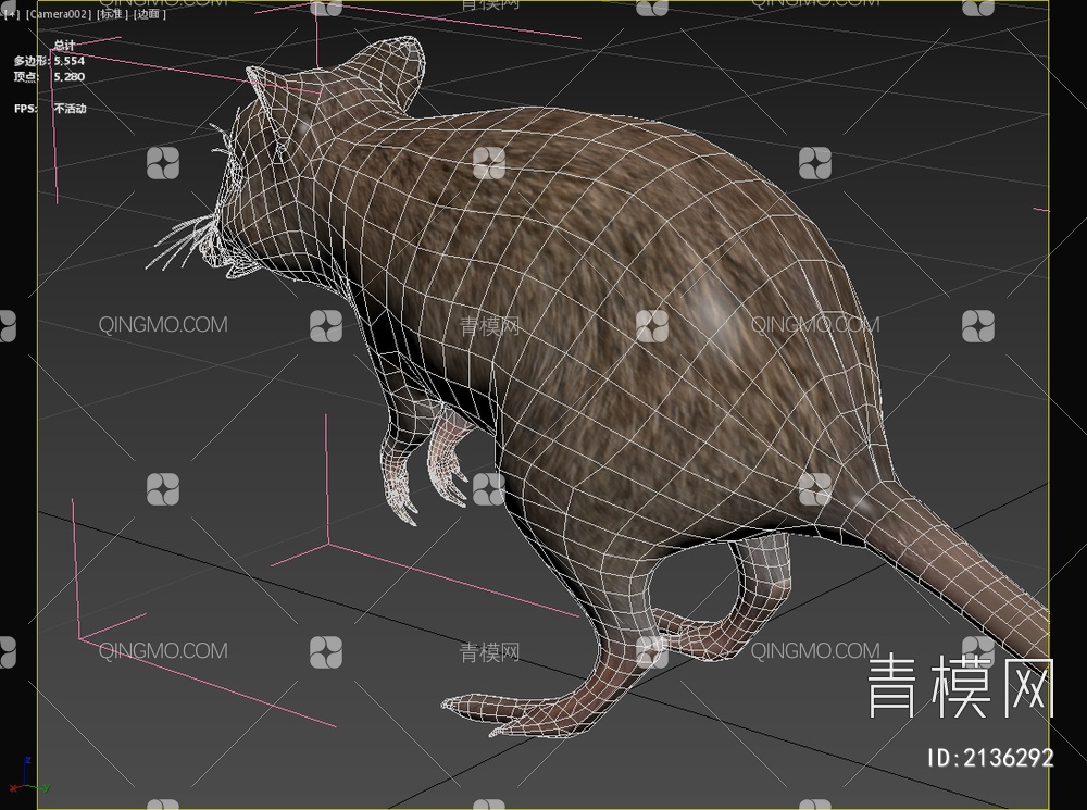 长鼻袋鼠 动物3D模型下载【ID:2136292】