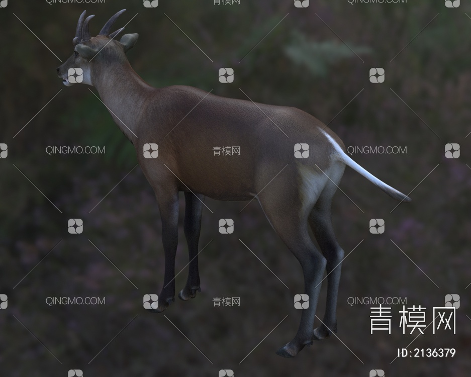 马氏武角鹿 霍氏鹿 动物3D模型下载【ID:2136379】