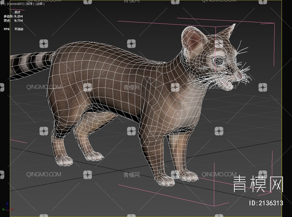 北美环尾猫熊生物动物3D模型下载【ID:2136313】