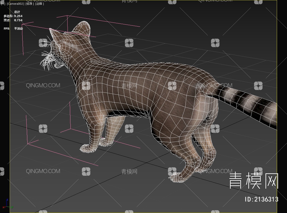 北美环尾猫熊生物动物3D模型下载【ID:2136313】