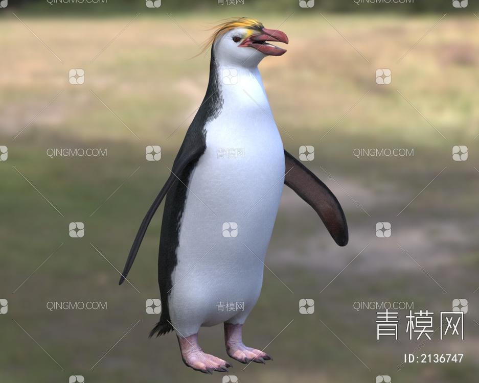 皇家企鹅 皇室企鹅 白颊黄眉企鹅3D模型下载【ID:2136747】