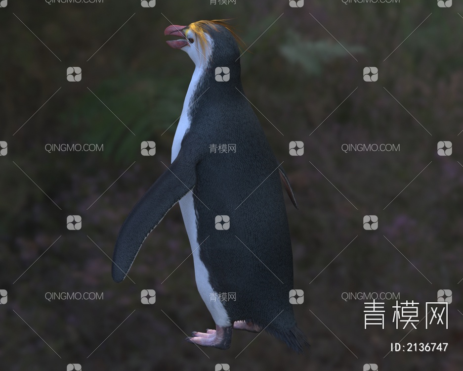 皇家企鹅 皇室企鹅 白颊黄眉企鹅3D模型下载【ID:2136747】