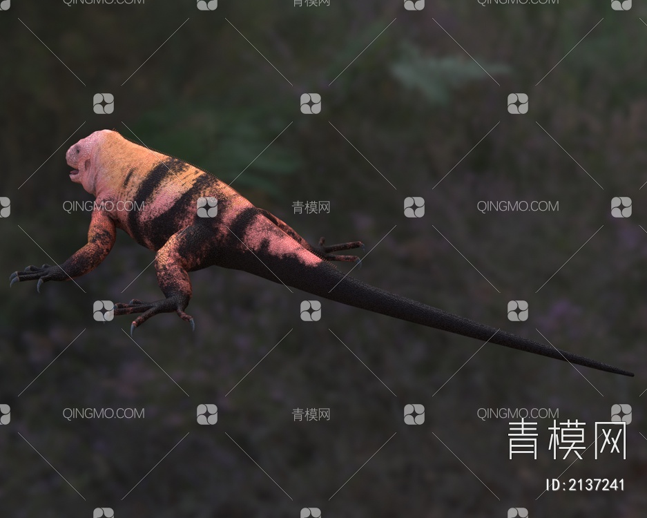 加拉巴戈海鬣蜥鬣蜥科动物3D模型下载【ID:2137241】
