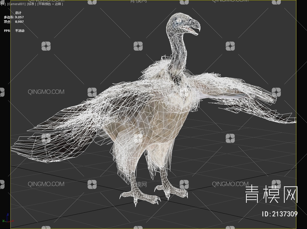 南非兀鹫鹰科兀鹫属鸟类动物3D模型下载【ID:2137309】
