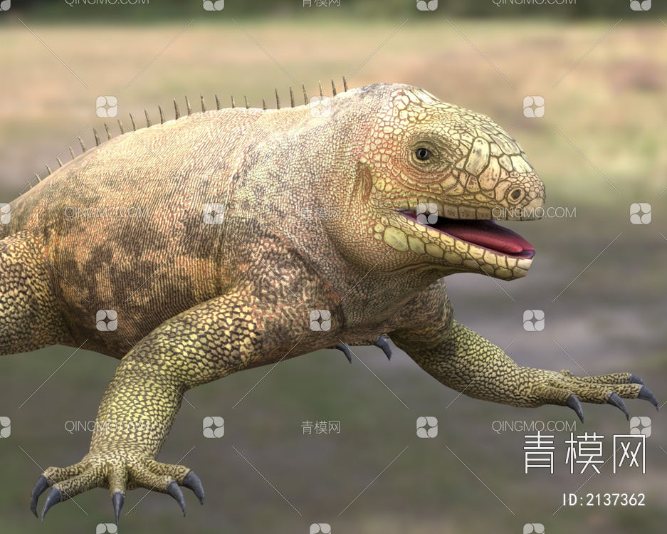巴灵顿岛陆鬣蜥圣达菲岛陆鬣蜥动物3D模型下载【ID:2137362】