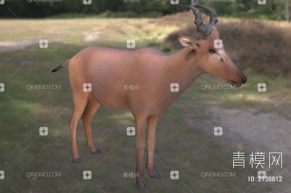 西方羚羊动物3D模型下载【ID:2138812】