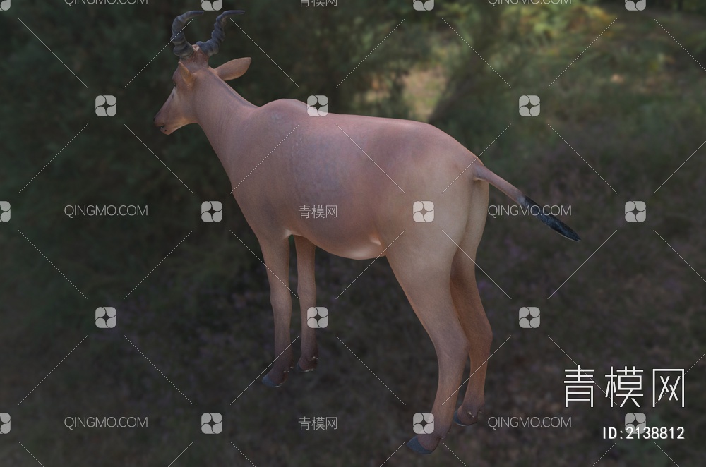 西方羚羊动物3D模型下载【ID:2138812】