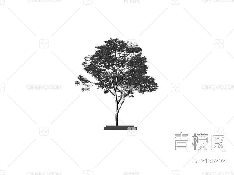 景观乔木 香樟树 行道树3D模型下载【ID:2138202】