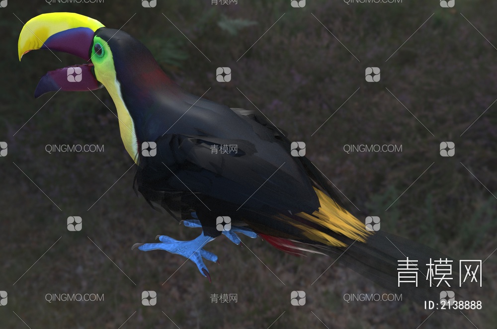 栗嘴巨嘴鸟 栗嘴鵎鵼 斯文森氏巨嘴鸟 动物3D模型下载【ID:2138888】