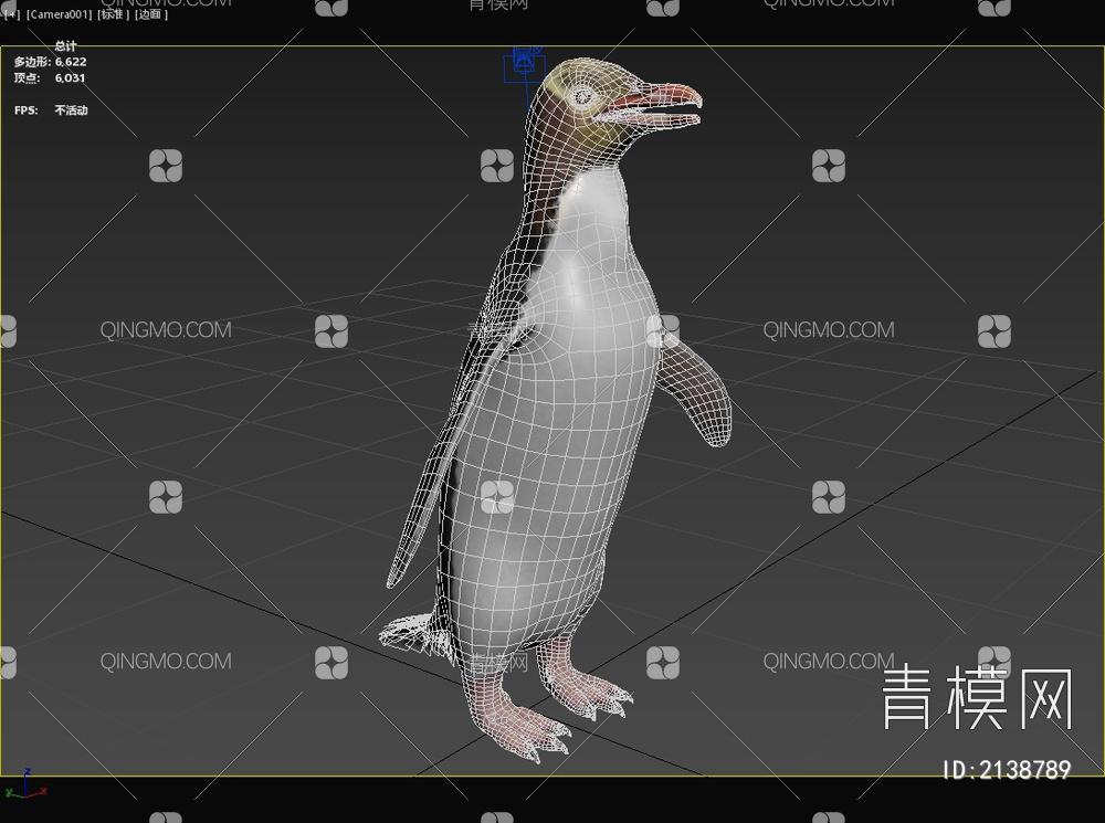 黄眼企鹅 鸟纲企鹅 科黄眼企鹅 动物3D模型下载【ID:2138789】