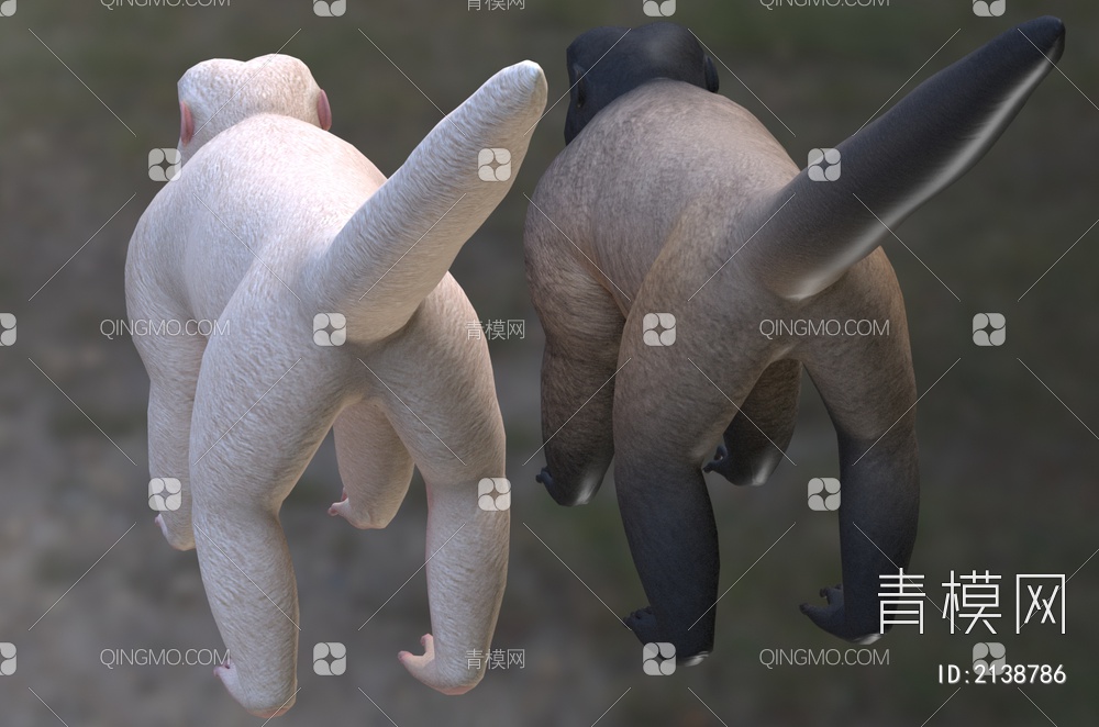 灰绒毛猴 普通绒毛猴 洪堡绒毛猴 动物3D模型下载【ID:2138786】