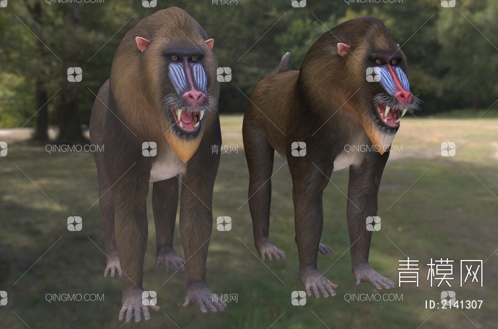 山魈 山中之鬼 大狒狒 动物3D模型下载【ID:2141307】