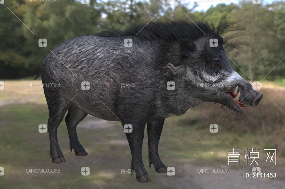 米沙鄢野猪 米沙鄢疣猪 卷毛野猪 动物3D模型下载【ID:2141453】