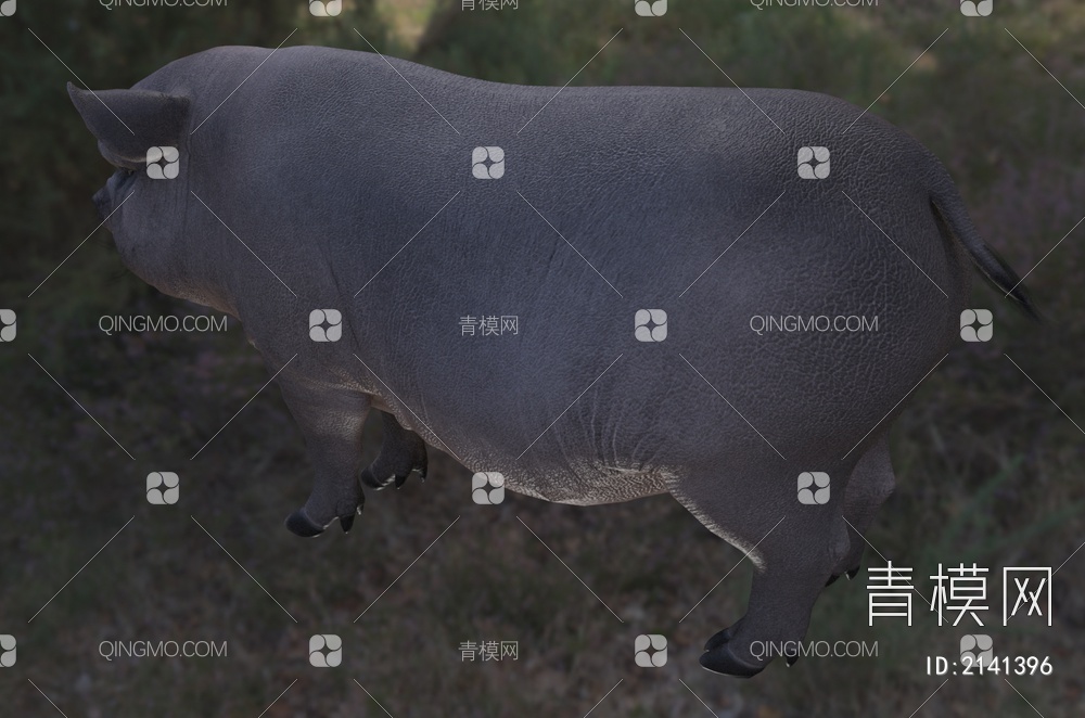 越南盆腹猪 大肚猪 家畜 动物3D模型下载【ID:2141396】