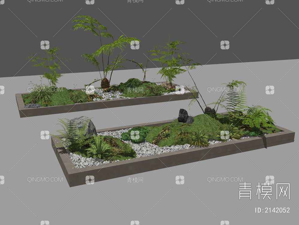 蕨类植物盆栽摆件SU模型下载【ID:2142052】