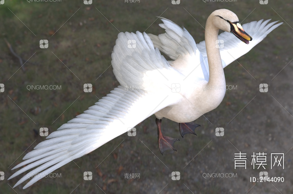 大天鹅 咳声天鹅 喇叭天鹅 黄嘴天鹅 动物3D模型下载【ID:2144090】