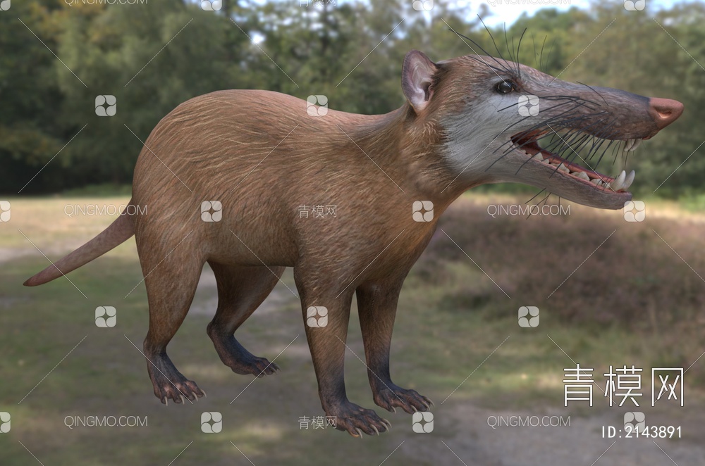 恐毛猬恐棘猬灭绝动物3D模型下载【ID:2143891】