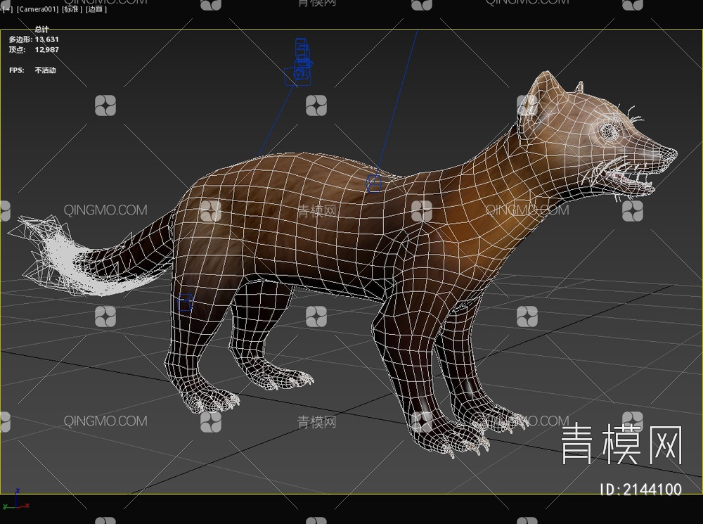 紫貂指名亚种托博尔斯克黑貂动物3D模型下载【ID:2144100】