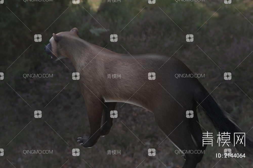 艾克猛獾动物3D模型下载【ID:2144064】