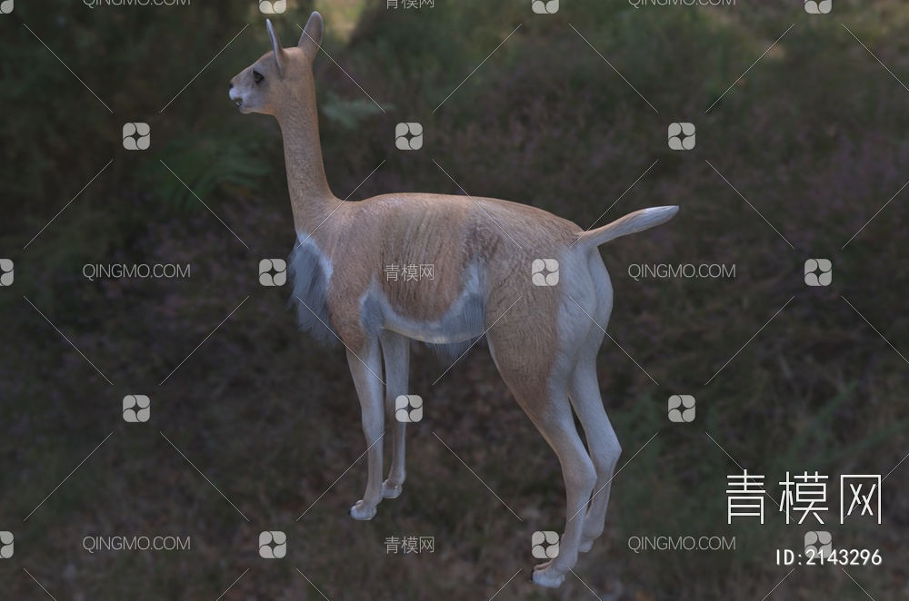 羊驼 骆马 动物3D模型下载【ID:2143296】