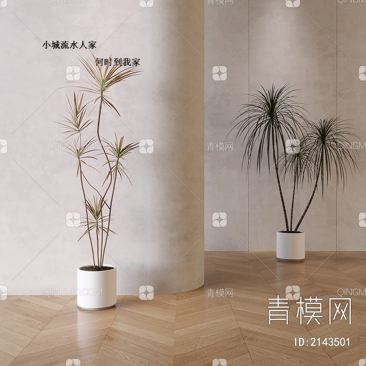 盆栽  植物3D模型下载【ID:2143501】