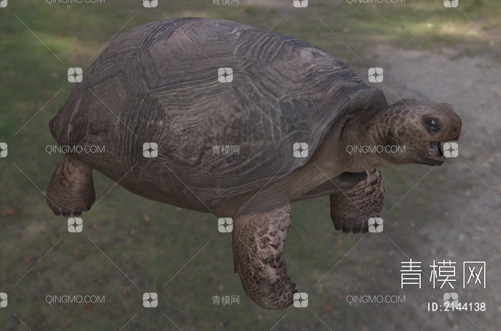 哥法地鼠龟 佛州地鼠龟 地鼠穴龟 地鼠陆龟 穴居沙龟3D模型下载【ID:2144138】