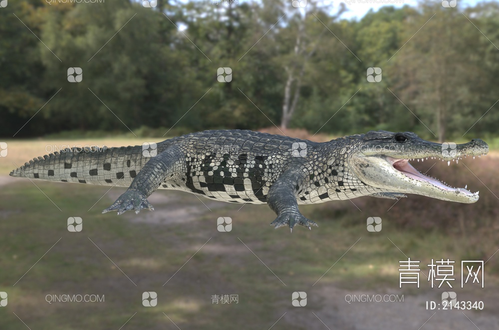 墨西哥鳄鱼动物3D模型下载【ID:2143340】