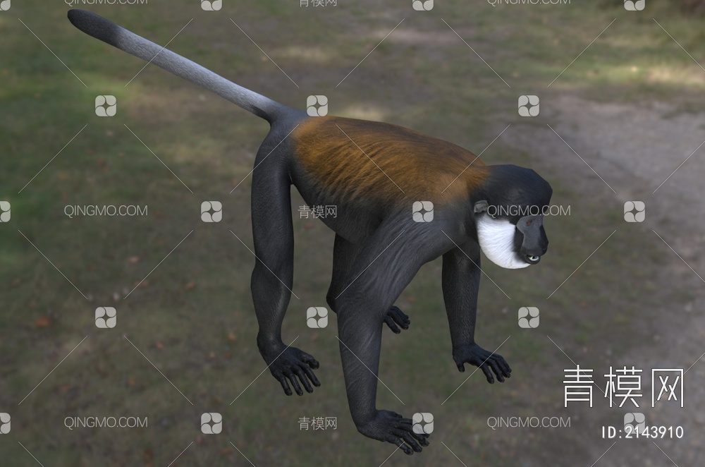 黑脸白腮猴动物3D模型下载【ID:2143910】
