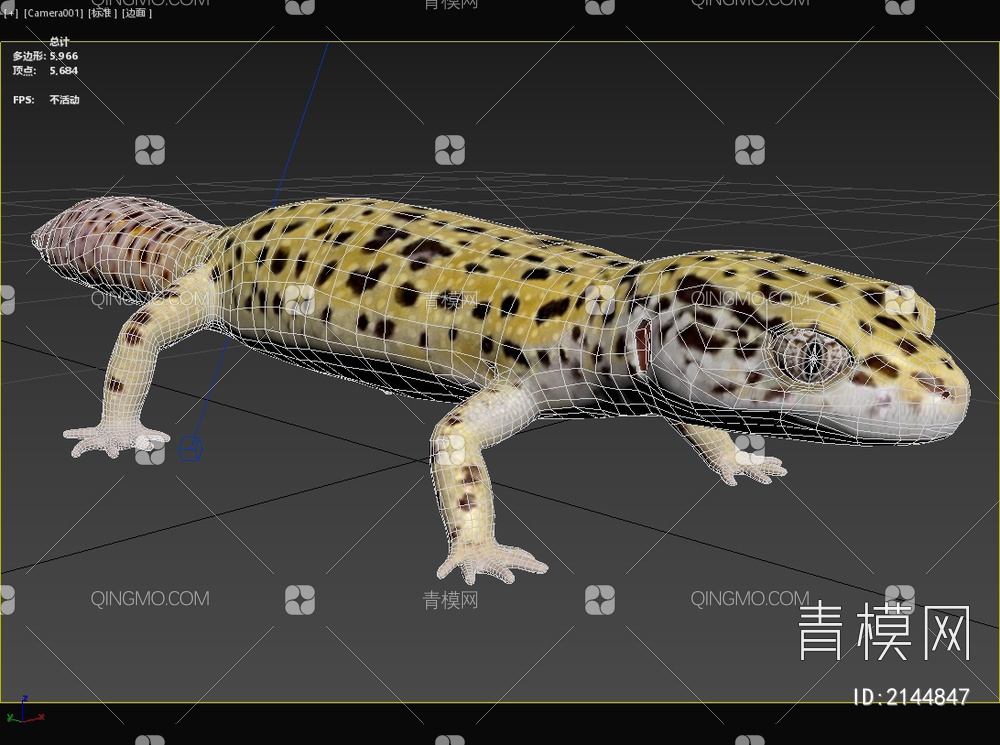豹纹蜥 虎豹纹壁虎 动物3D模型下载【ID:2144847】