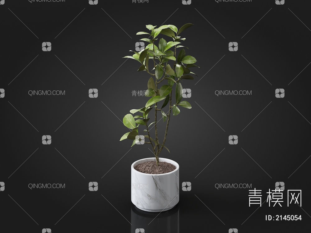 植物 牛皮树3D模型下载【ID:2145054】