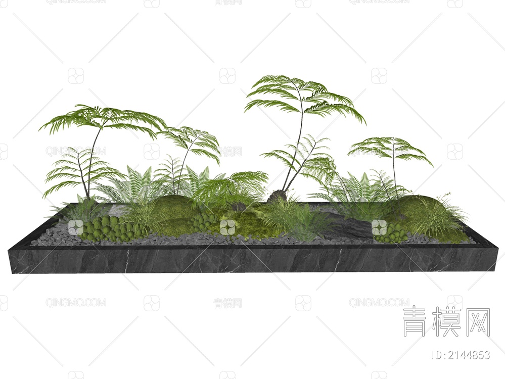 蕨类植物SU模型下载【ID:2144853】