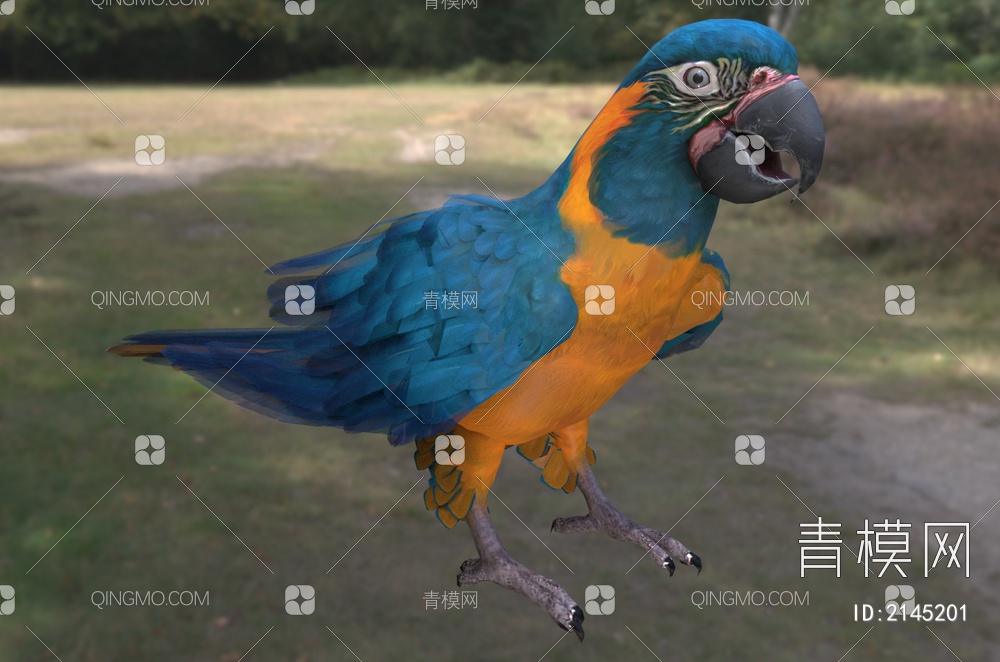 蓝喉金刚鹦鹉 玻利维亚金刚鹦鹉3D模型下载【ID:2145201】