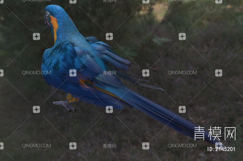蓝喉金刚鹦鹉 玻利维亚金刚鹦鹉3D模型下载【ID:2145201】