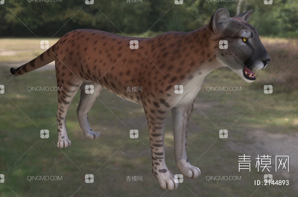 短跑冠军北美猎豹动物3D模型下载【ID:2144893】