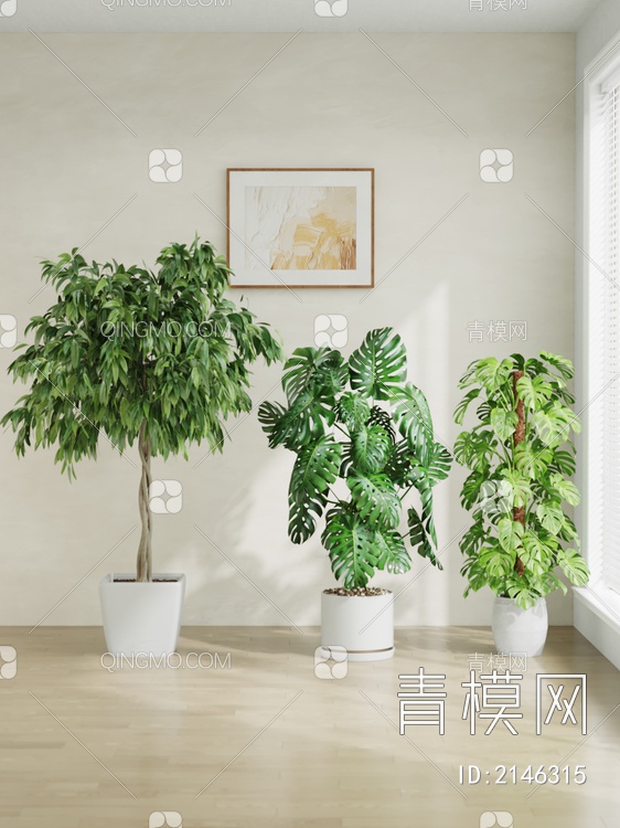 植物 绿植 盆栽3D模型下载【ID:2146315】