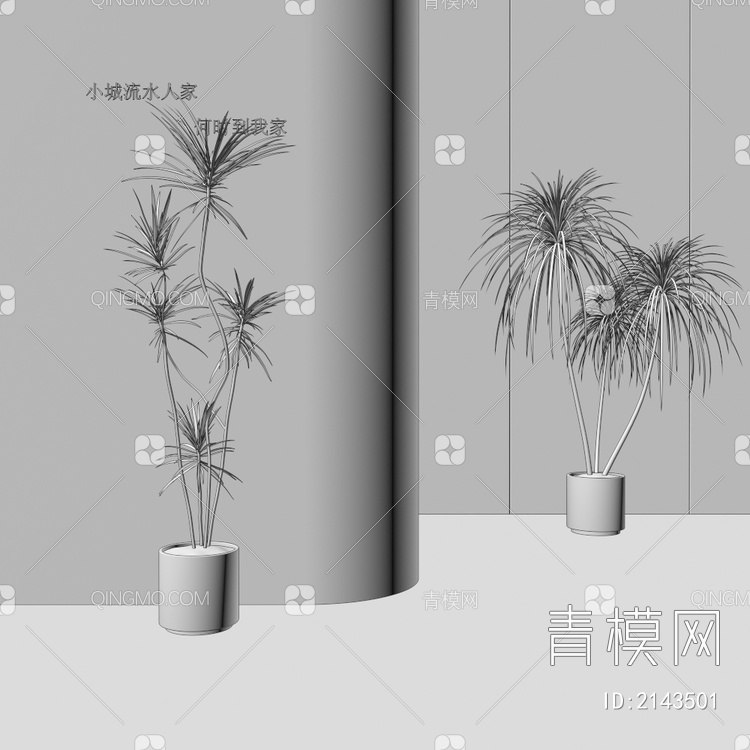 盆栽  植物3D模型下载【ID:2143501】