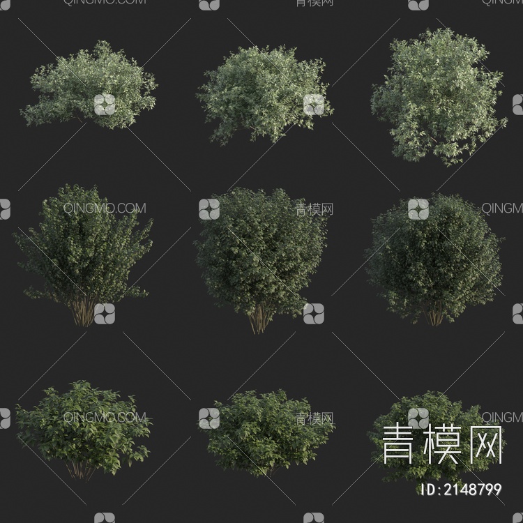 灌木 植物3D模型下载【ID:2148799】