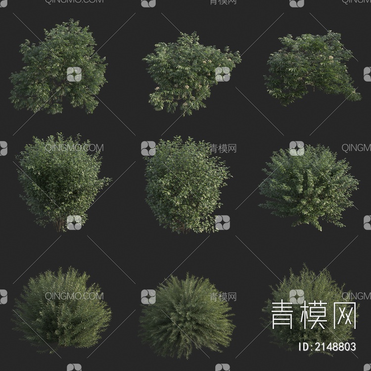 灌木 植物3D模型下载【ID:2148803】
