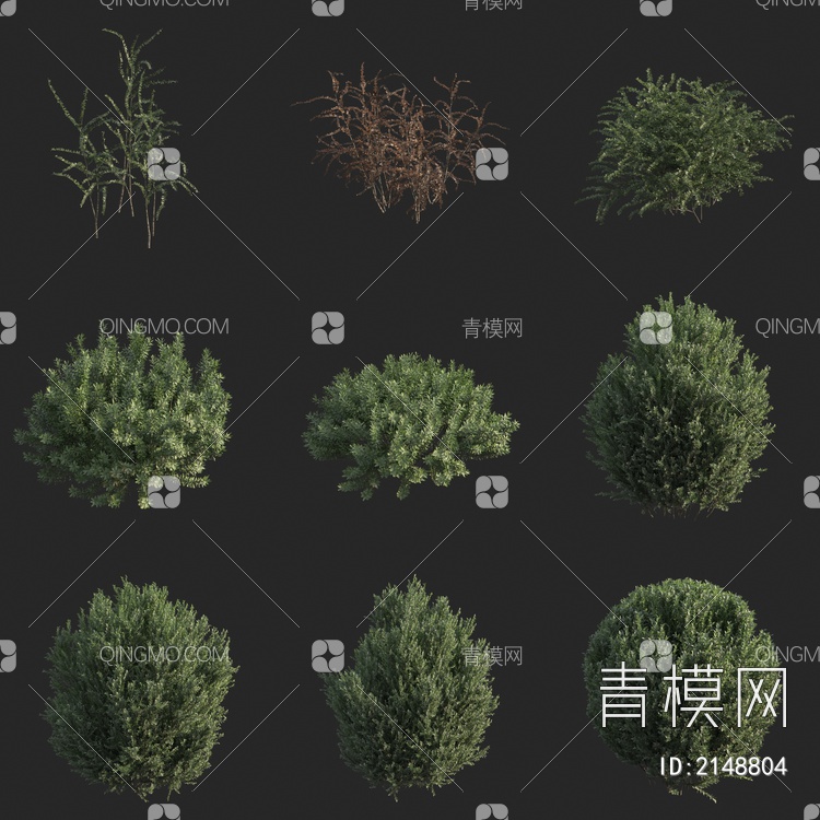 灌木 植物3D模型下载【ID:2148804】