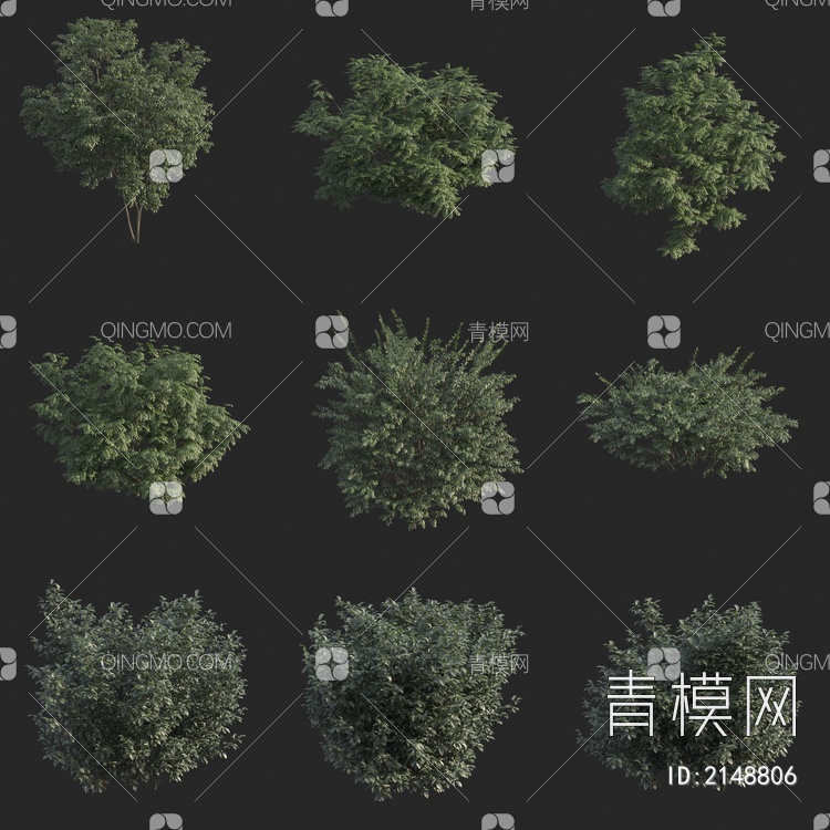 灌木 植物3D模型下载【ID:2148806】