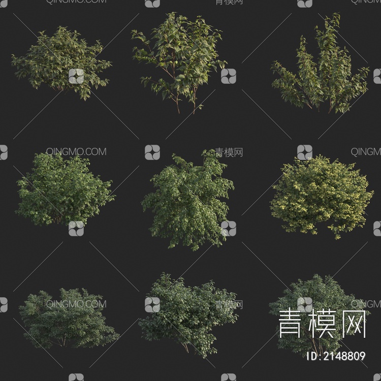 灌木 植物3D模型下载【ID:2148809】